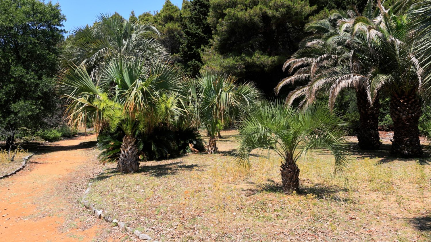 Dubrovnik best kept secrets Read before you visit - Lokrum Island hidden botanical gardens walkthrough